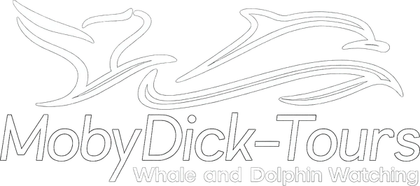 MobyDick-Tours