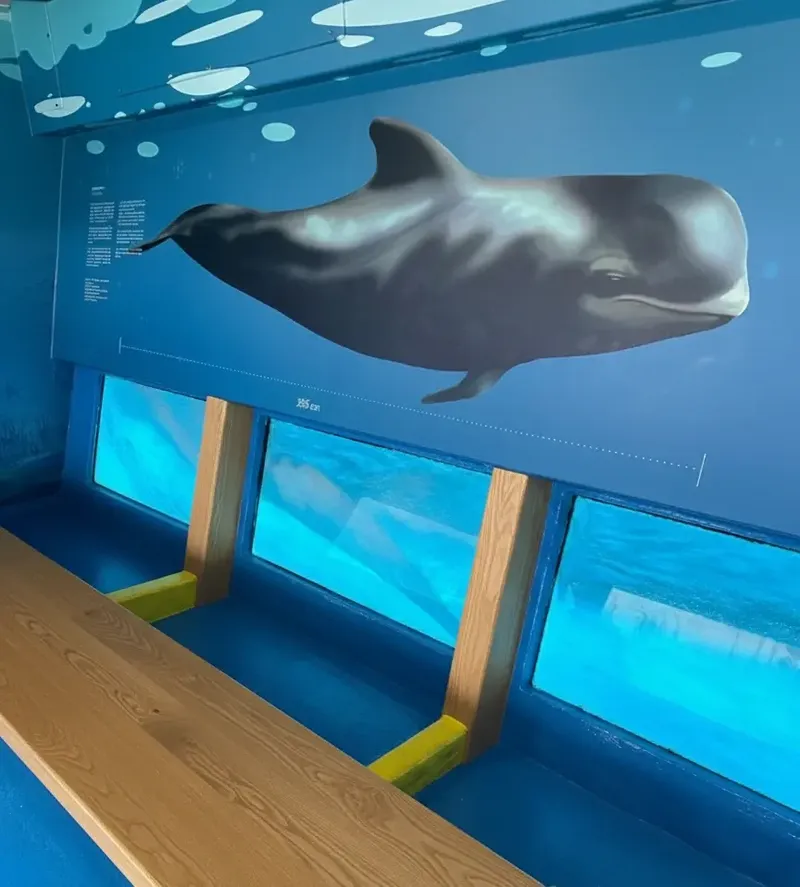 Zona de observação subaquática com janela de vidro, mural de baleia e vista para o oceano